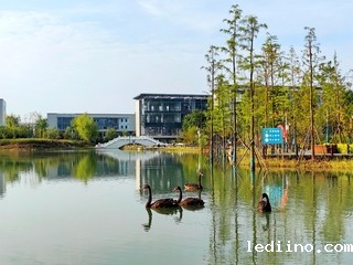 暑风和  碧波漾