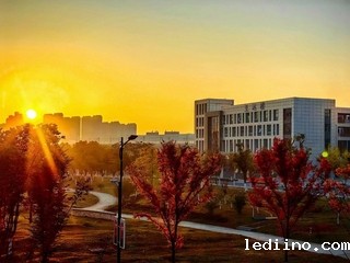 霜降至  枫红时