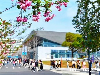 春心付 海棠娇